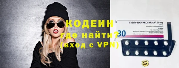мдпв Инта