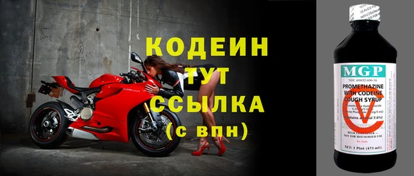 мдпв Инта