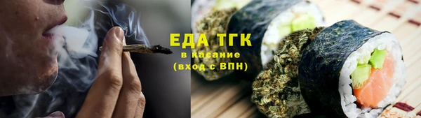 мдпв Инта