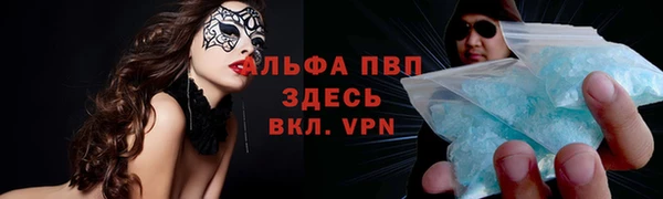 ешки Иннополис