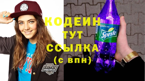 ешки Иннополис