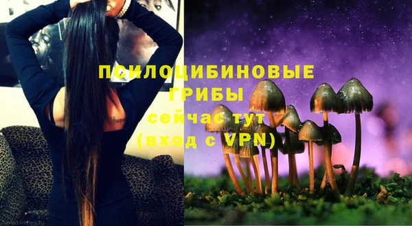 мдпв Инта