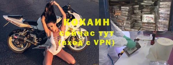 мдпв Инта