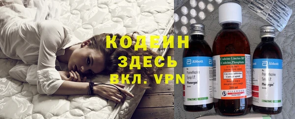 мдпв Инта