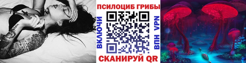 Псилоцибиновые грибы ЛСД Купить закладки Нерюнгри